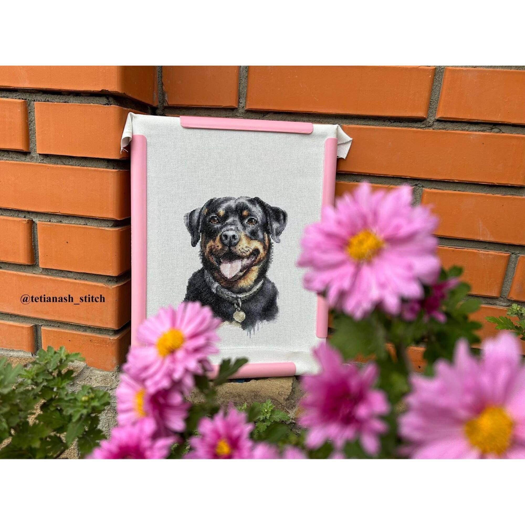 Luca-S Rottweiler Counted Cross Stitch Kit